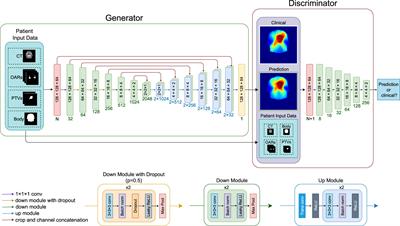 Dose distribution prediction for head-and-neck cancer radiotherapy using a generative adversarial network: influence of input data